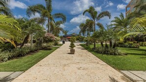 Un chemin menant à un bâtiment doté d’une piscine, entouré de palmiers et de verdure.