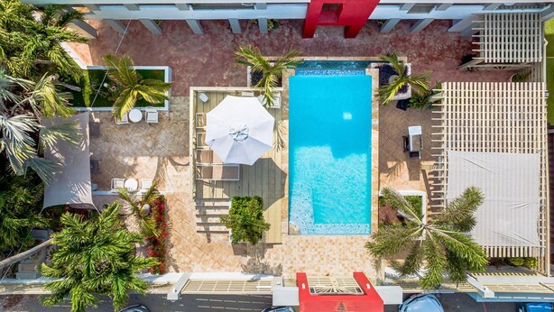An aerial view of a pool area with a rectangular pool, lounge chairs, umbrellas, and palm trees. - 2BR 1BA Ground Level in the Heart of Aruba Pool (Noord)