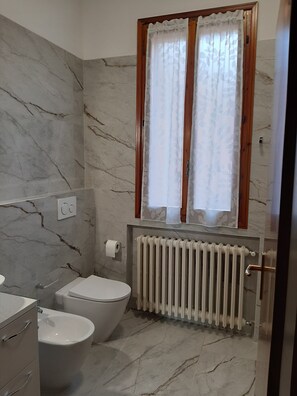 Shower, hair dryer, bidet, towels