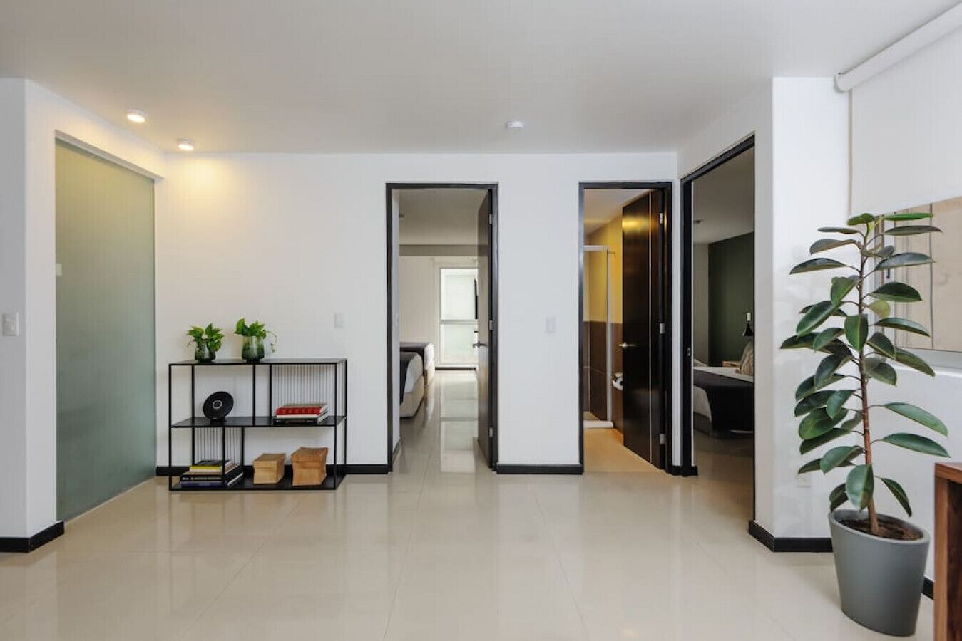 A modern hallway with a bookshelf, potted plants, and a clear view into another room.