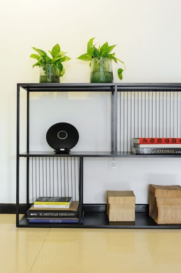 A modern, black-framed shelving unit with two green plants, a vinyl record, and books.
