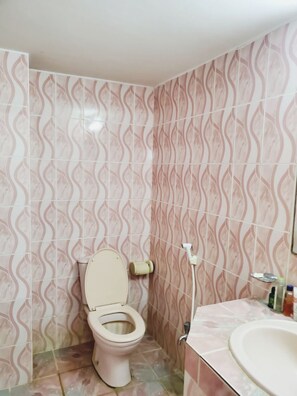 Shower, towels, soap, toilet paper - My dream h (Dhaka)