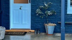 A house with a blue door, a number '4' above it, and a potted plant on the porch. - No. 4 on Bolton
 (Wagga Wagga)