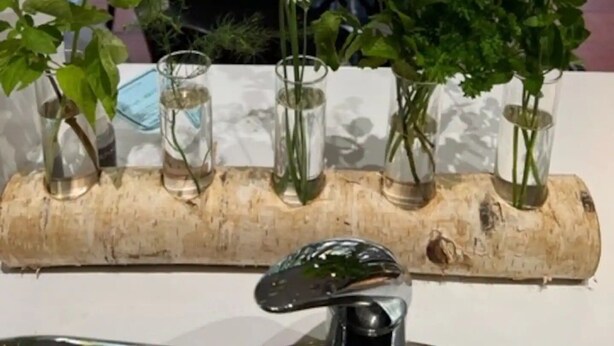A dining table with a rustic wooden log centerpiece holding several small glass vases with plants. - No. 4 on Bolton
 (Wagga Wagga)