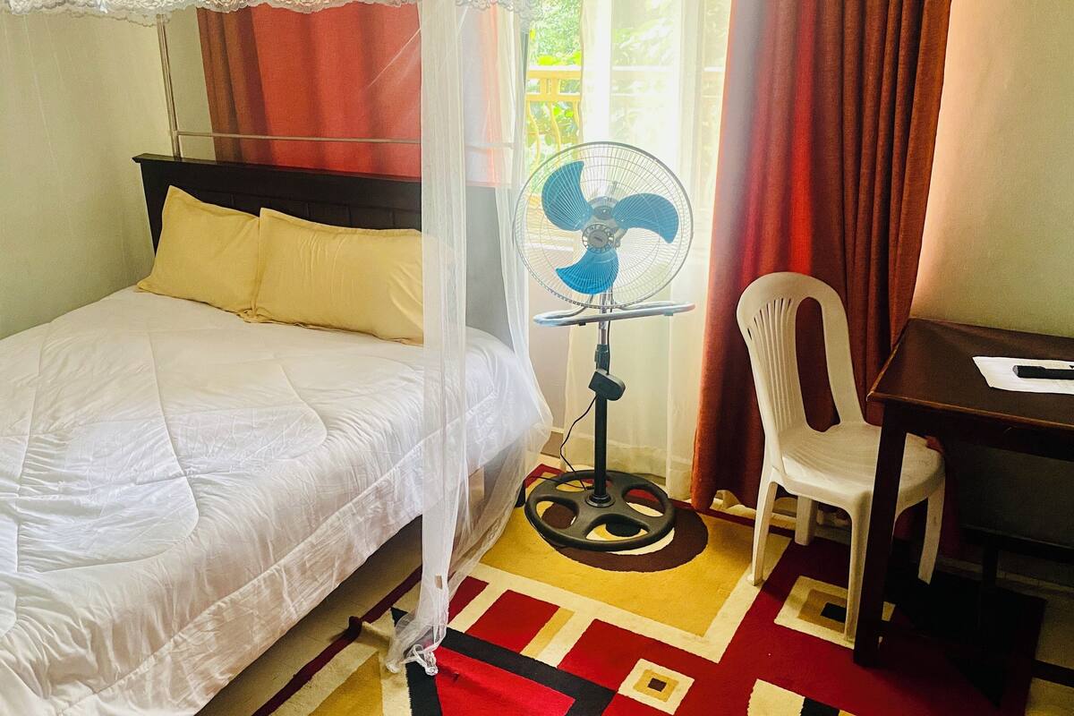 A single bed with a white bedspread, a standing fan, a desk with a chair, and a window with red curtains.