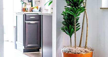 Short North/Downtown | Walk to Convention Center | Free Parking | 5,800+ Reviews