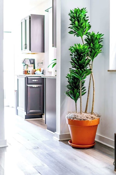 Short North/Downtown | Walk to Convention Center | Free Parking | 5,800+ Reviews