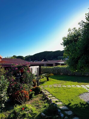 Área da propriedade