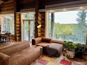 Smart TV, fireplace, printers