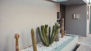 A modern building exterior with a row of cacti in a planter, a door with a number, and a small window.