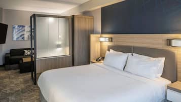 Suite, 1 King Bed with Sofa bed