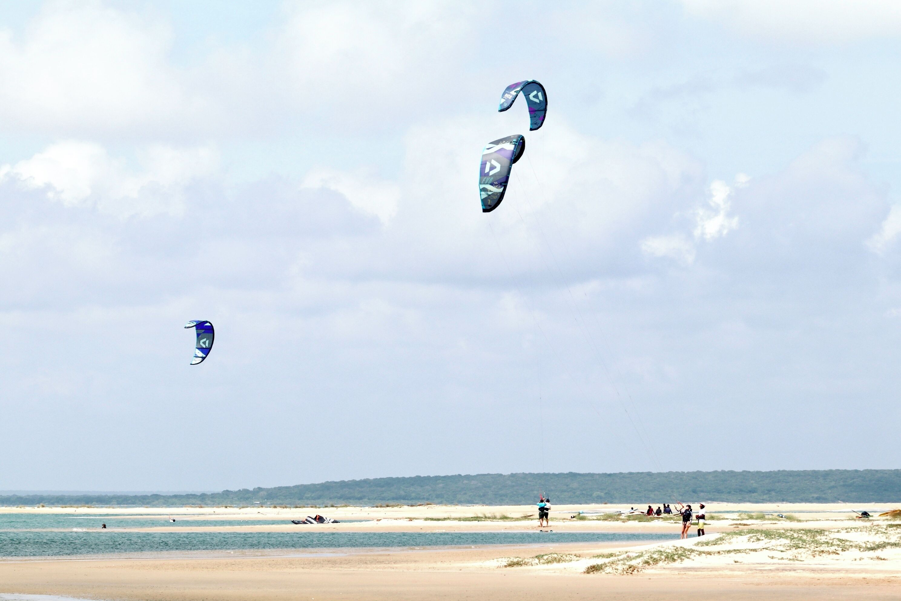 Ein Strand mit Menschen und Drachen.