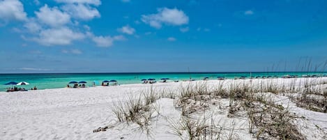 Una spiaggia nelle vicinanze