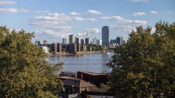 Un horizonte urbano con un río, edificios y árboles.