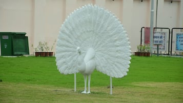 Uma grande escultura de pavão branco em área gramada, com um edifício ao fundo.