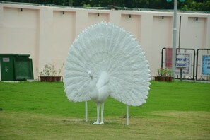 A large white peacock sculpture in a grassy area with a building in the background.