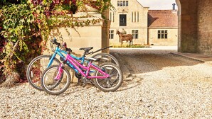 A bicycle parked under a stone archway with a building and a donkey statue in the background.