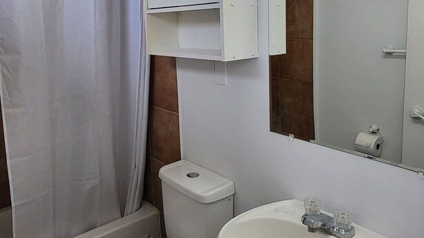Baño con inodoro, lavabo y zona de ducha.