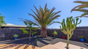 Un patio con una palmera, plantas en macetas y un muro de piedra.