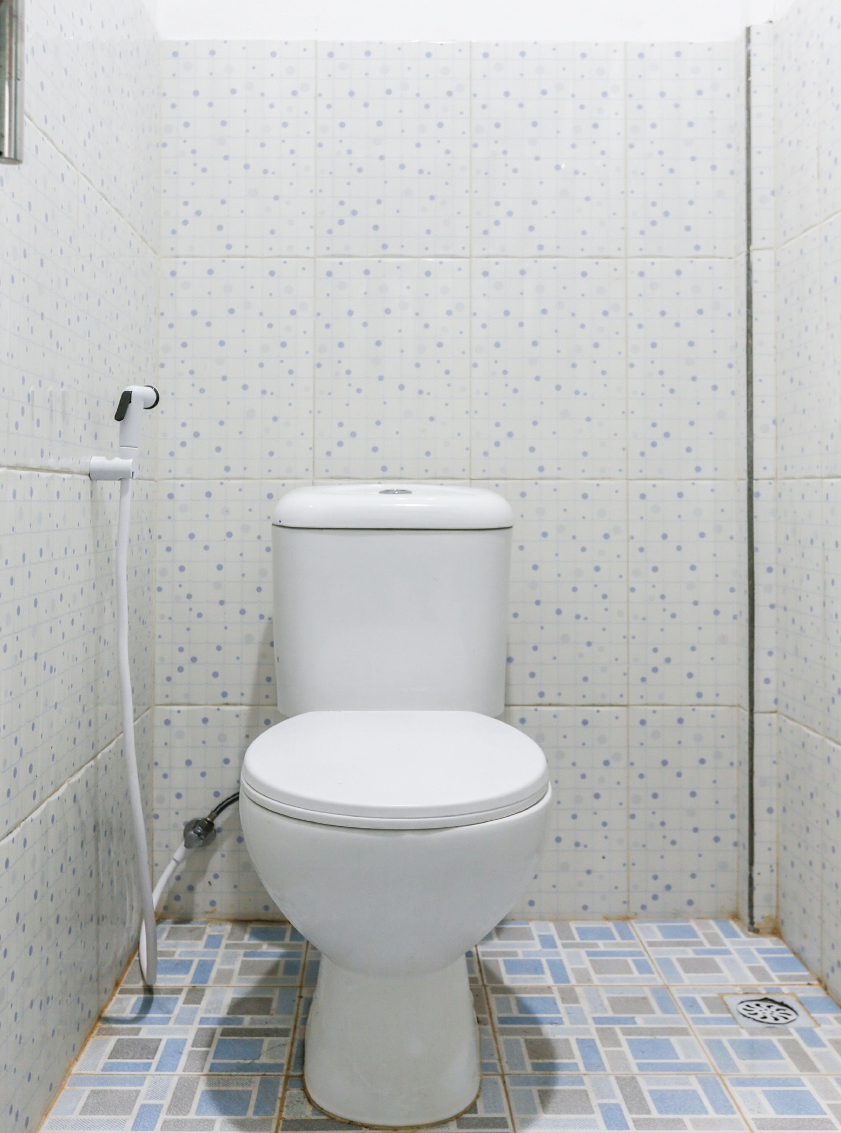 A standard toilet with a white tank and seat, a showerhead, and a tiled floor with a blue and white pattern.