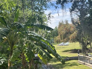 Property grounds - Hidden Gem! Waterfront Private Lake, Epperson Lagoon 5 Mins, Canoe/Fish/Relax. (Wesley Chapel)