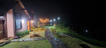 Un sendero conduce a una casa con un camino de piedra, césped bien cuidado y un árbol con luces al fondo.
