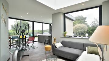 Télévision, cheminée, lecteur de DVD, chaßne hi-fi