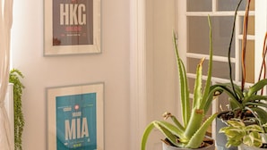 Een hoek van een kamer met posters van steden, een aloe plant in een pot, en een raam met zonwering.