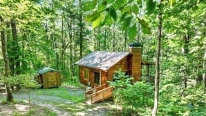 A cabin surrounded by dense forest, with a small shed nearby.