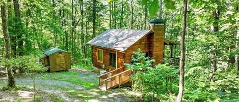 Une cabane entourée d’une forêt dense, avec un petit abri situé à proximité.