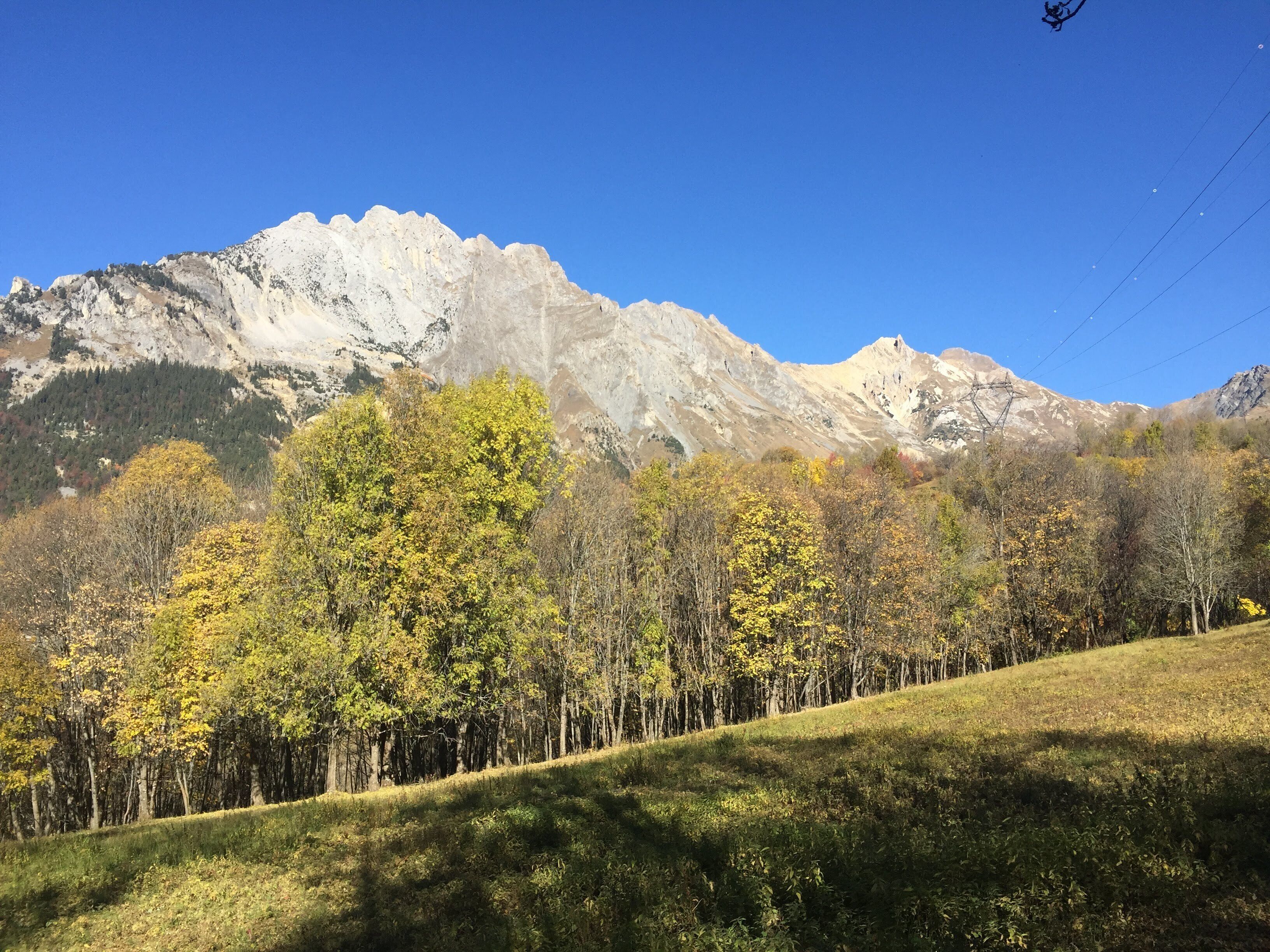 A mountainous landscape with a clear sky, trees with autumn foliage, and a ski lift in the distance.