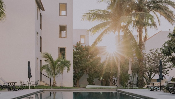 A swimming pool with clear water, surrounded by palm trees and a building with multiple windows. - SM Apartments (San José del Cabo)