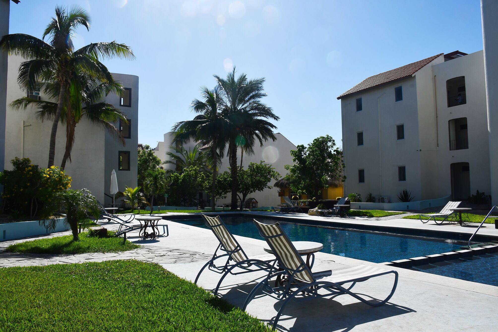 A pool area with lounge chairs, palm trees, and a building with multiple windows.