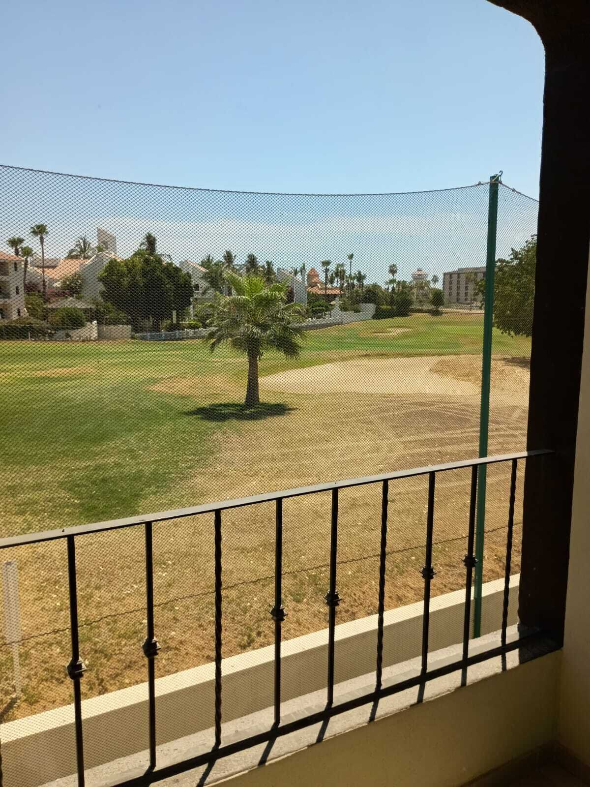 Vista de un campo deportivo con una valla, una palmera y edificios al fondo.