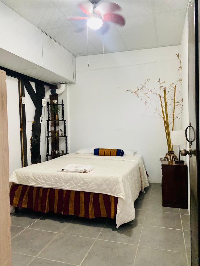 Un dormitorio con cama, ventilador de techo, estante con plantas y una puerta.