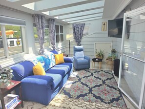 A sunlit room with a blue sofa, a chair, a patterned rug, and potted plants.