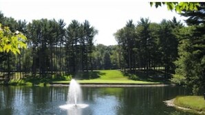 A tranquil pond with a fountain, surrounded by a wooden fence and dense trees.