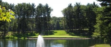 A serene pond with a fountain, surrounded by a forested area and a well-maintained lawn.