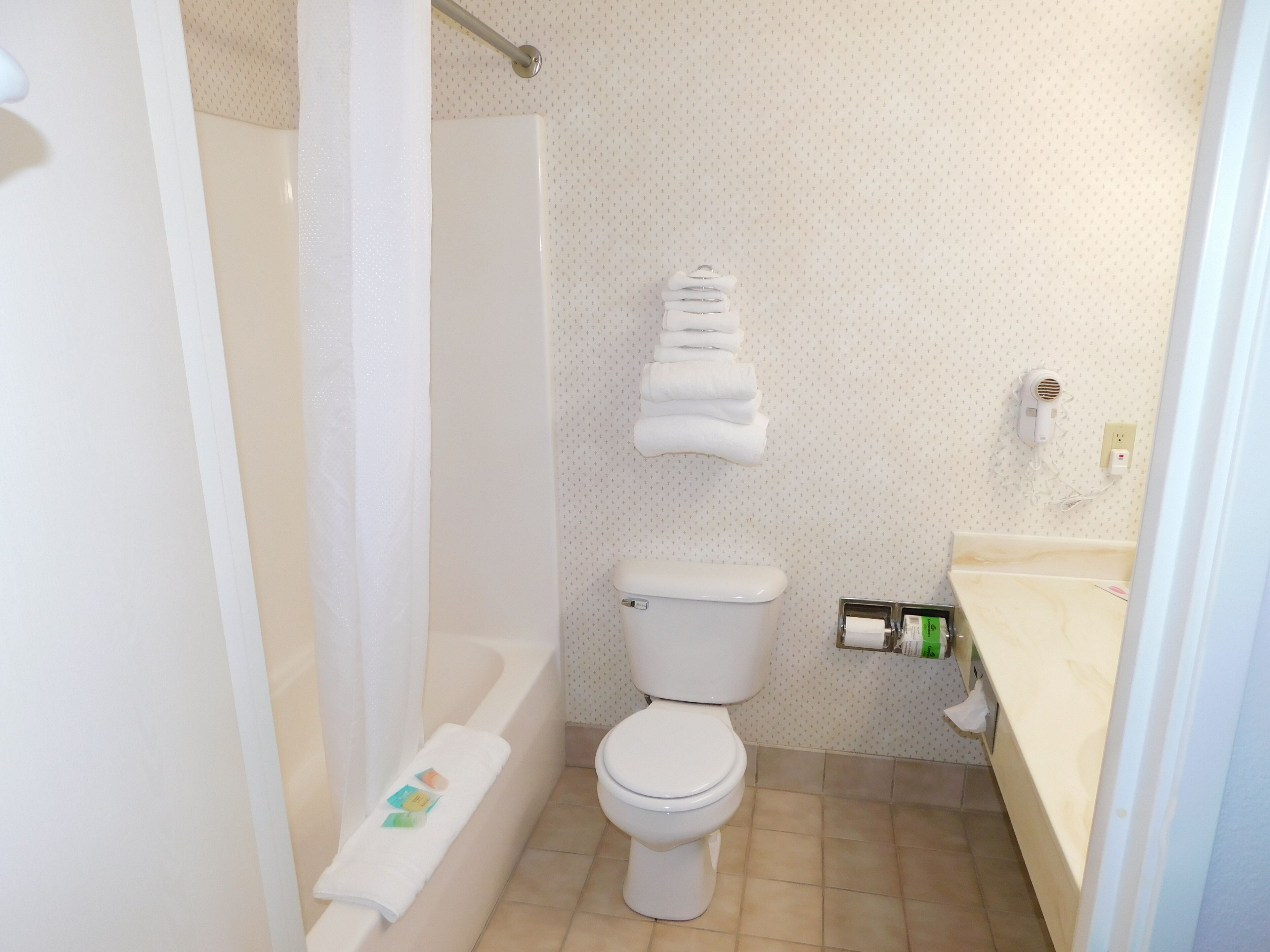 A bathroom with a toilet, a sink, and a shower area.