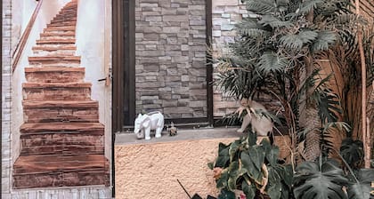 Loft colonial en el centro de Querétaro