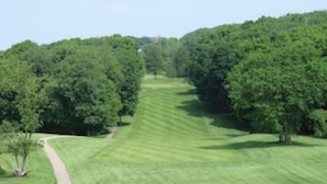 Een golfbaan met een verzorgd fairway, bomen en een heldere lucht.