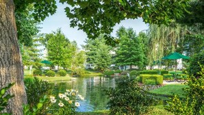 A serene garden with a pond, neatly trimmed hedges, and green umbrellas. - Jack's Cabin-Fall Creek Resort Amenities (Branson)