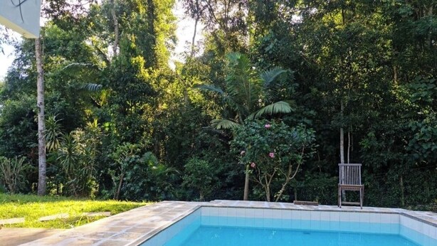 Ein rechteckiger Pool mit Fliesenbord, umgeben von üppigem Grün und Bäumen.