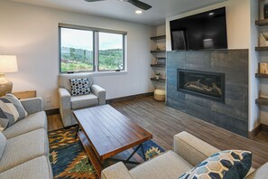 TV, fireplace, books