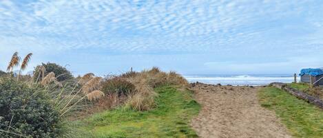 A sandy beach path leading to the ocean, surrounded by grassy areas and some vegetation.