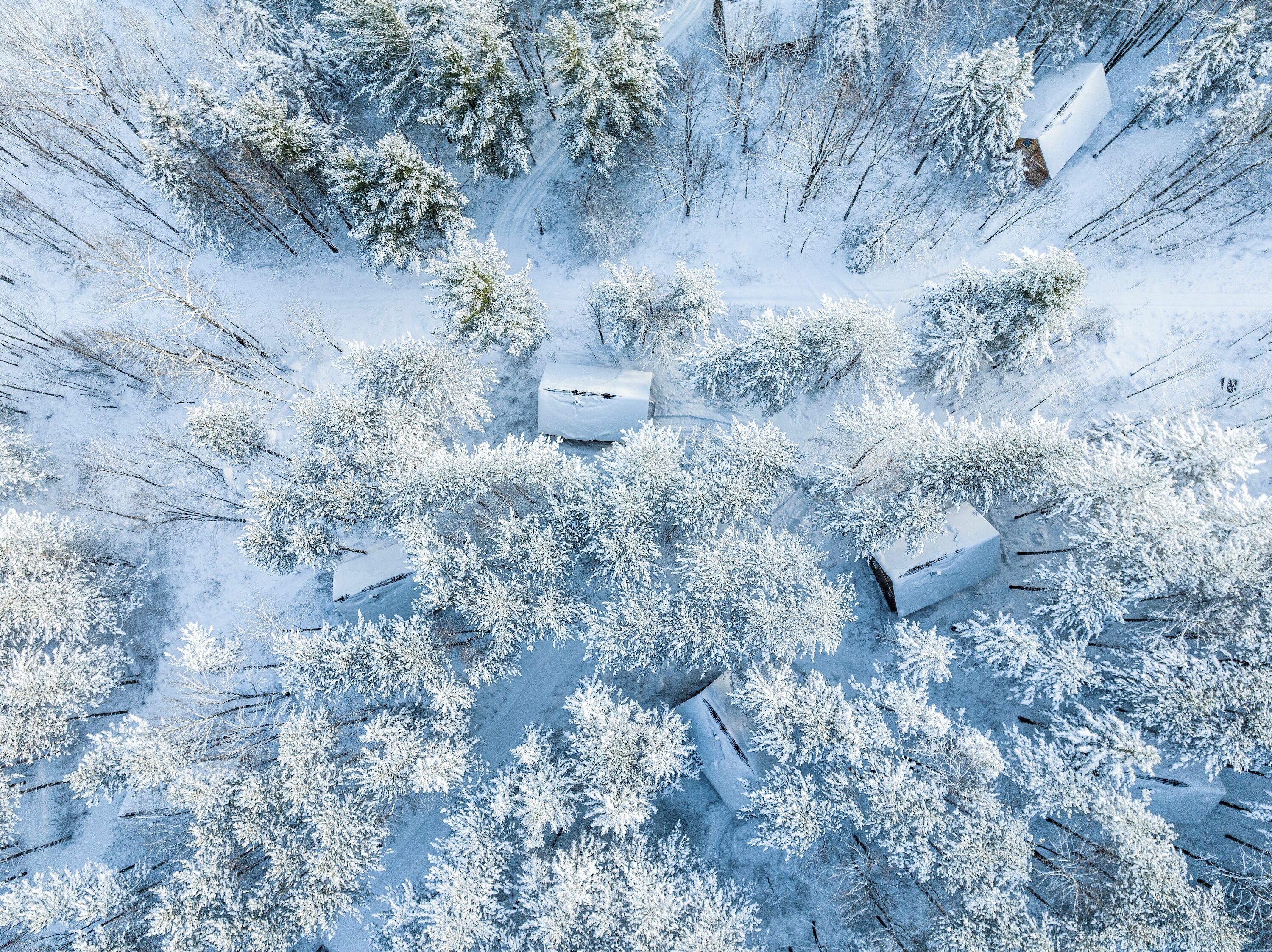 An aerial view of a snow-covered forest with cabins.