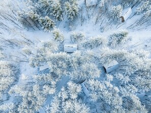 Vista aérea de un bosque cubierto de nieve con cabañas.