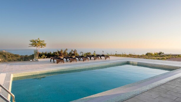A rectangular swimming pool with a tiled edge, surrounded by a paved deck. There are lounge chairs aligned along the pool's edge, and a palm tree is visible to the left.