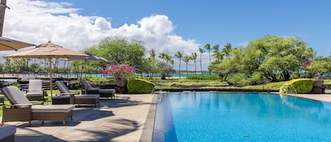 Outdoor pool, pool umbrellas, pool loungers