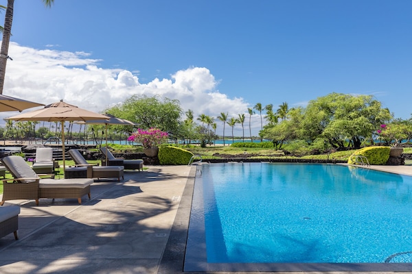 Outdoor pool, pool umbrellas, sun loungers